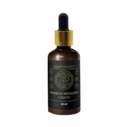 Amanita Muscaria Liquid